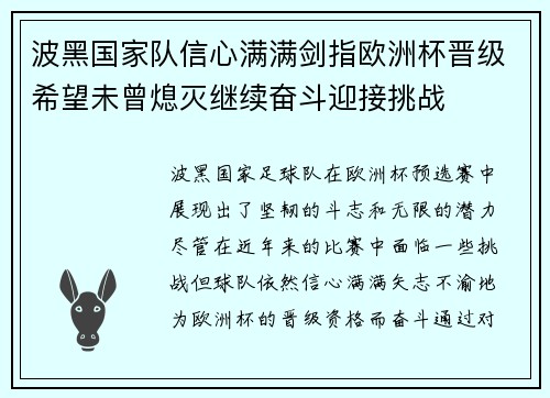 波黑国家队信心满满剑指欧洲杯晋级希望未曾熄灭继续奋斗迎接挑战